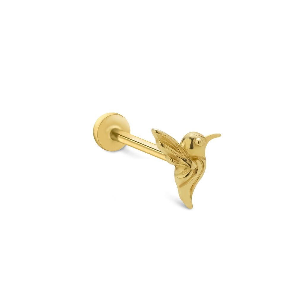 Bird Tragus