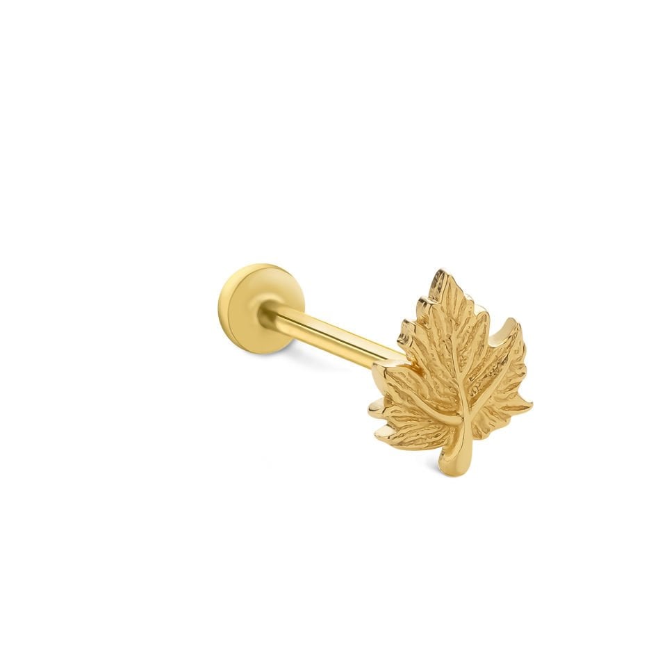 Çınar Yaprağı Tragus