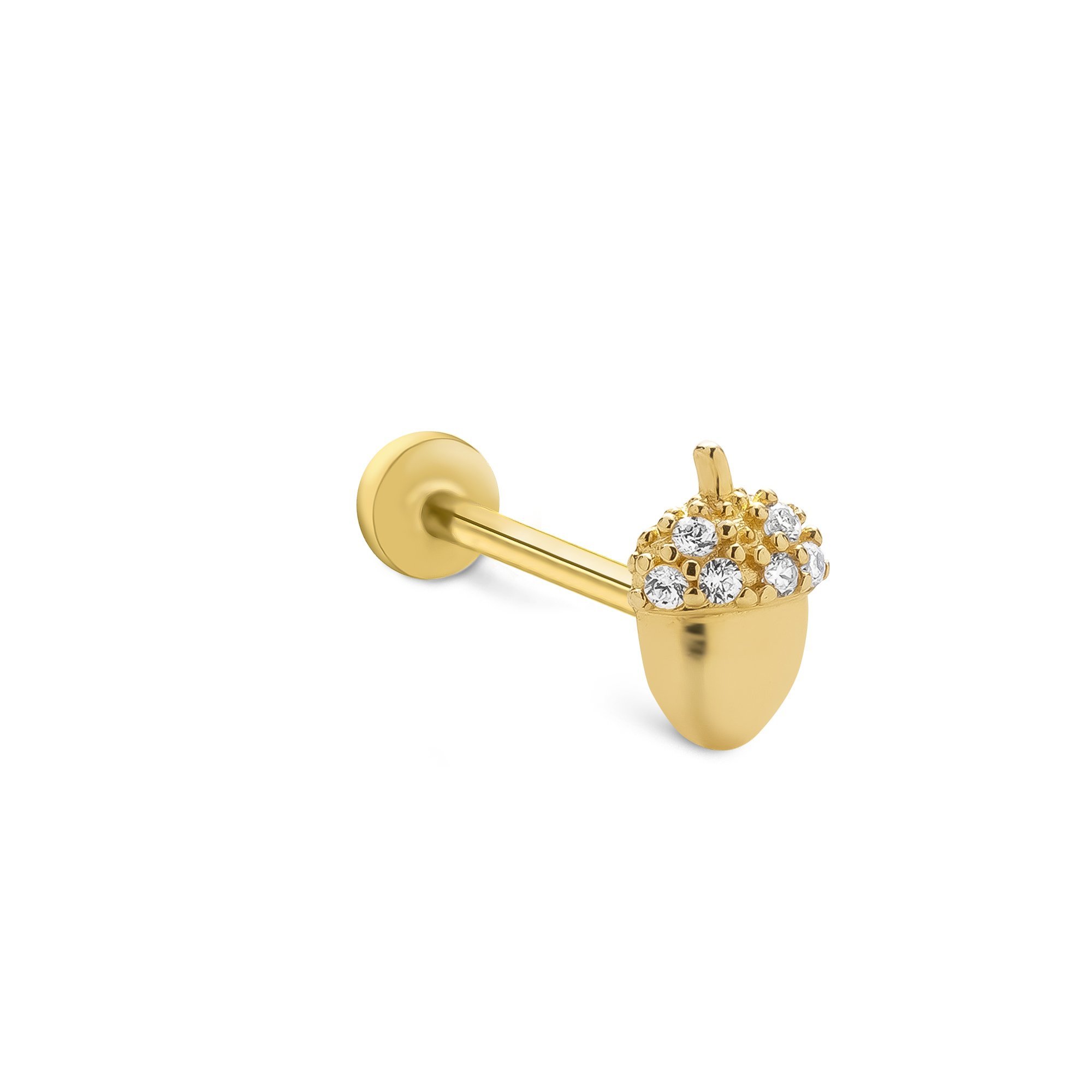 Palamut Tragus