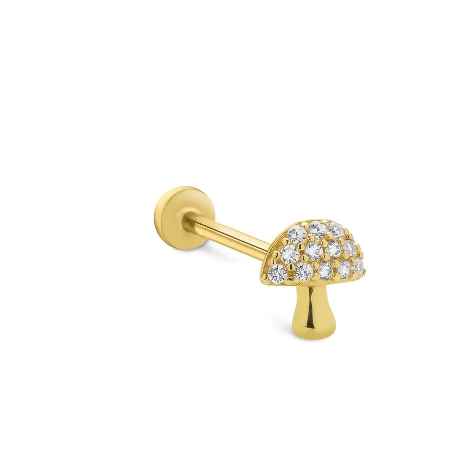 Mantar Tragus