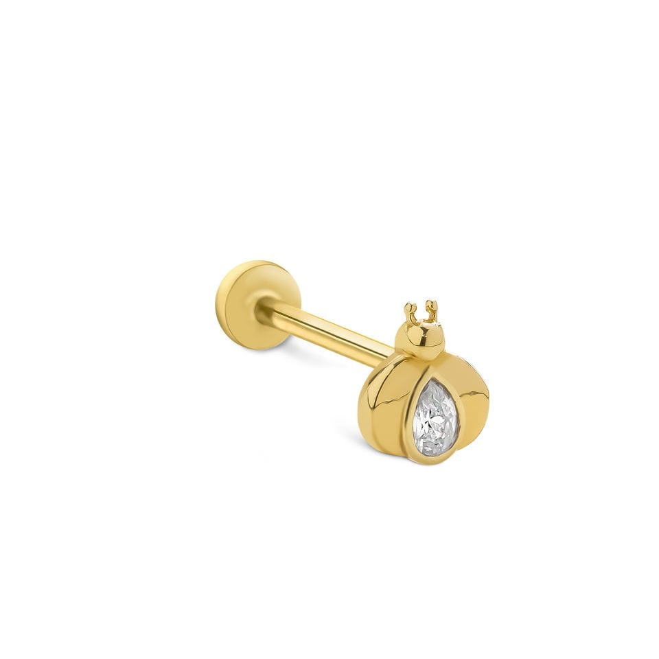 Uğur Böceği Damla Taş Tragus Piercing