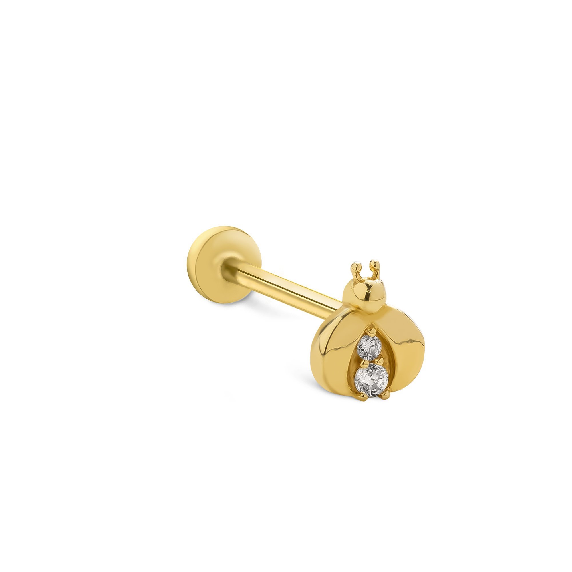 Uğur Böceği Tragus Piercing