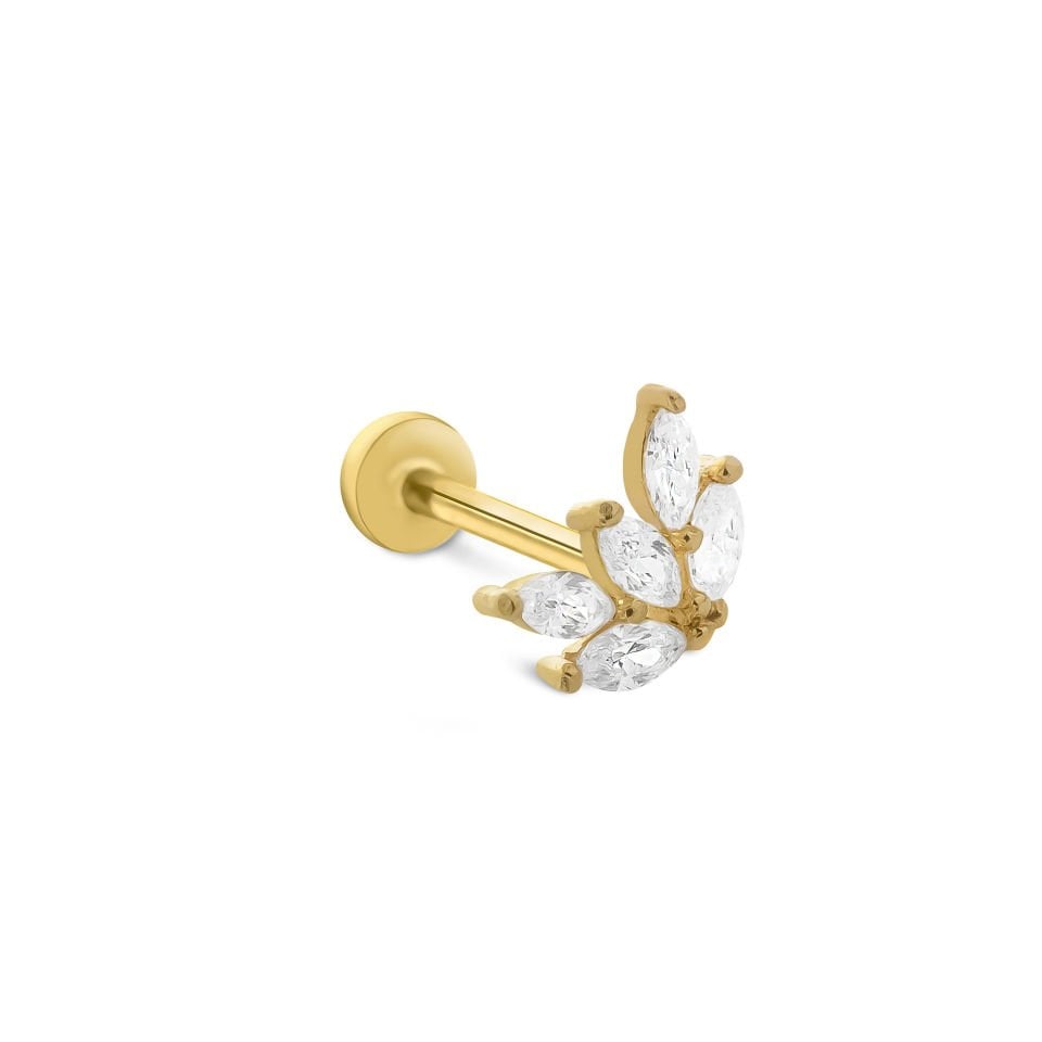 Kelebek Kanadı Tragus Piercing