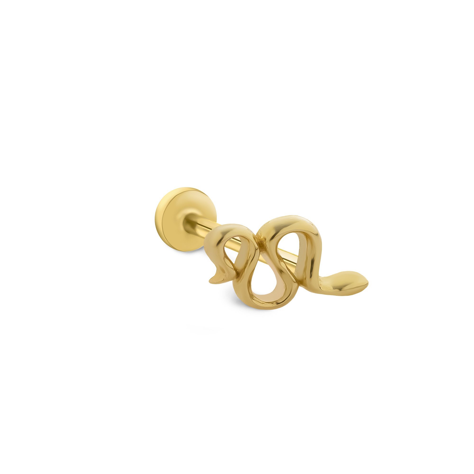 Yılan Tragus Piercing