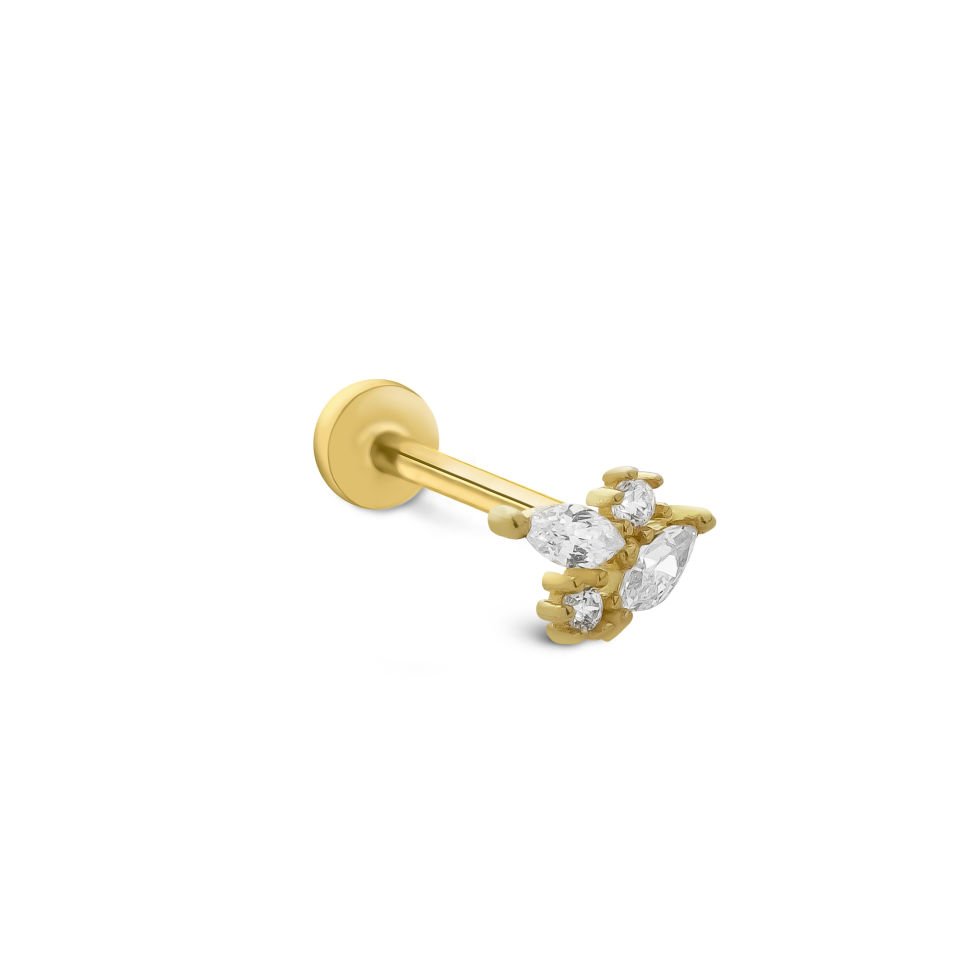 Nova Tragus Piercing