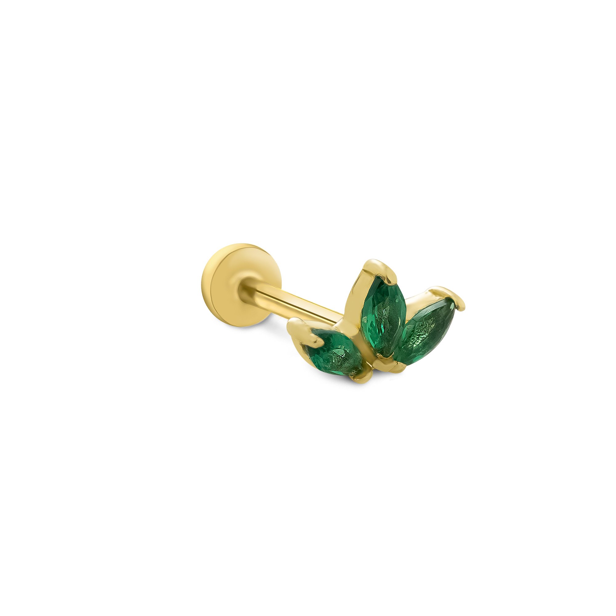 Yeşil Lotus Tragus