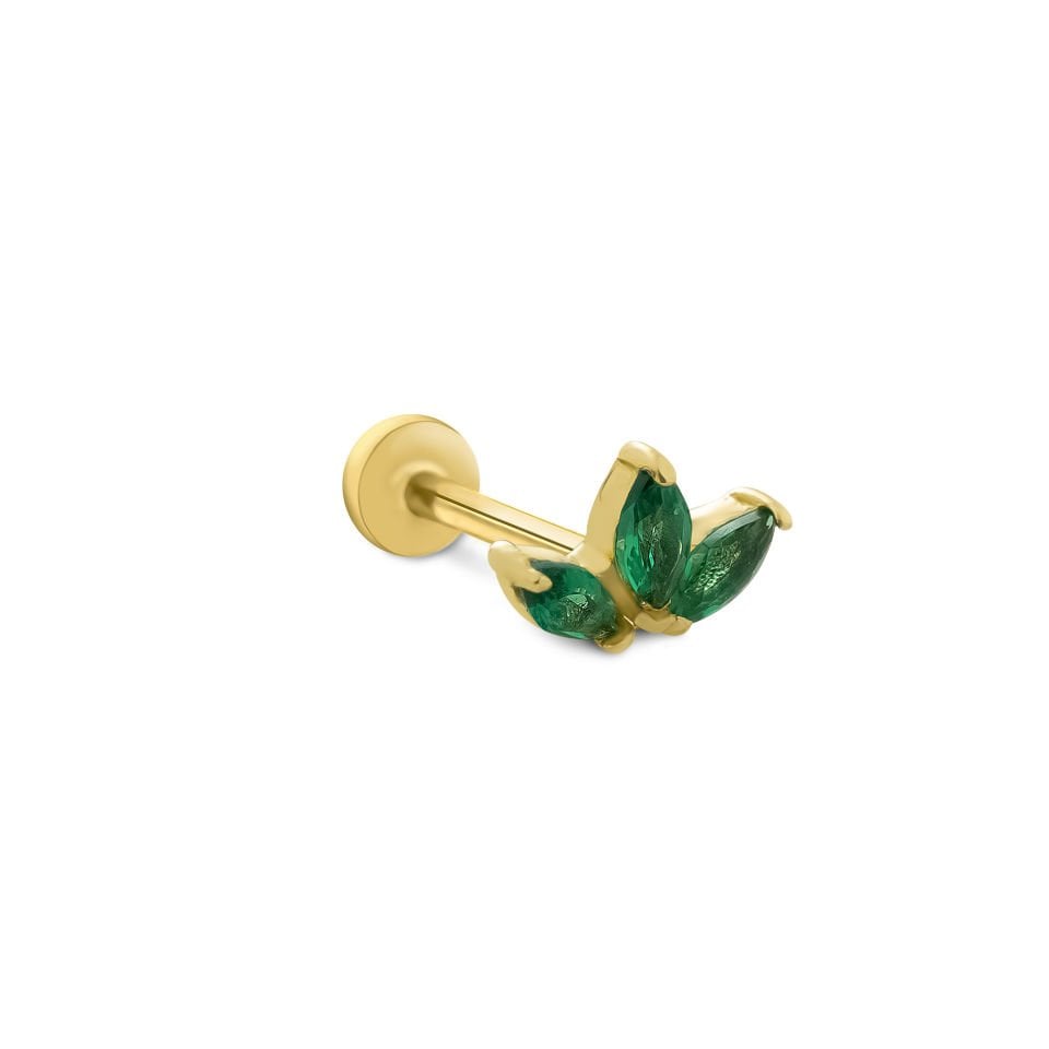 Yeşil Lotus Tragus
