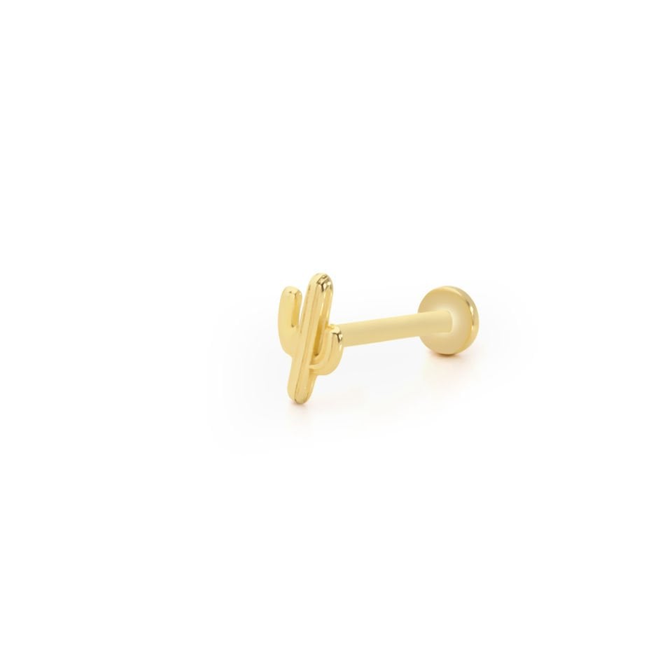 Uzun Boy Kaktüs Model Tragus Piercing