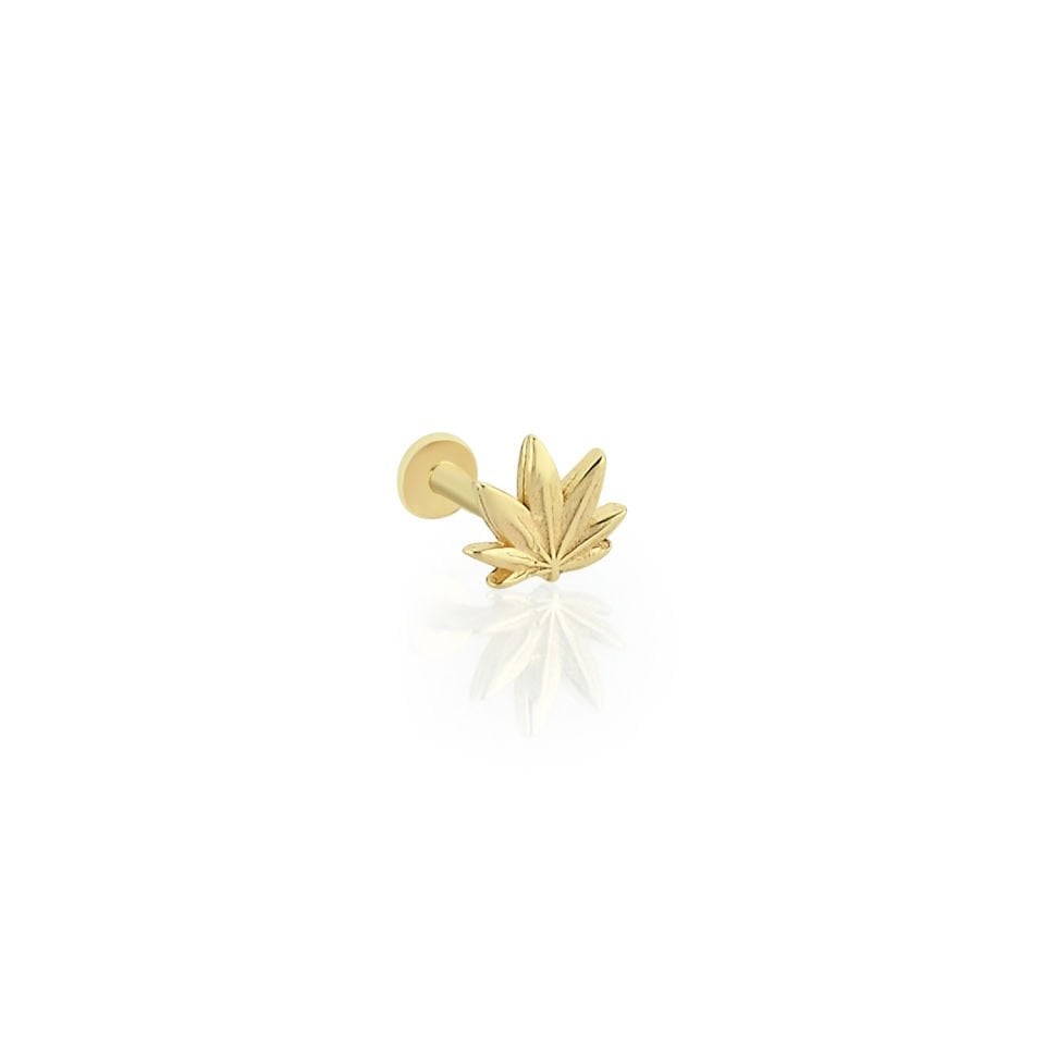 Sonbahar Yaprağı Tragus Piercing
