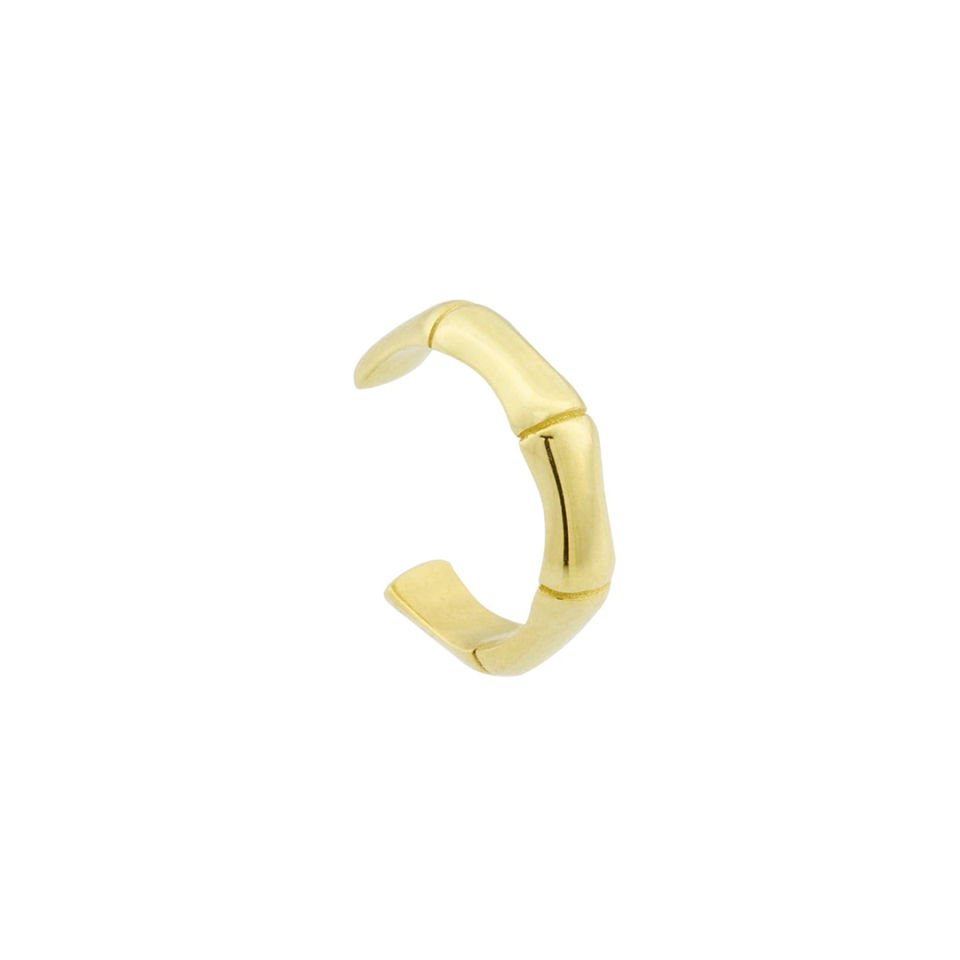 Kemik Kıkırdak Earcuff