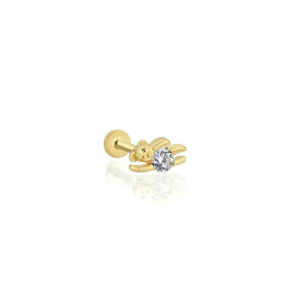 Taşlı Ayıcık Tragus Piercing