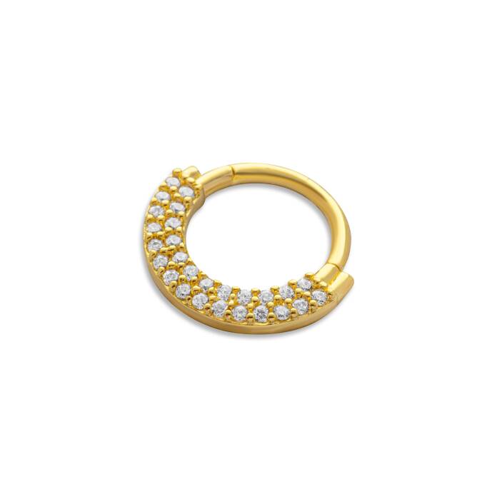 İki Sıra Dizili Taşlı Helix Piercing - 1