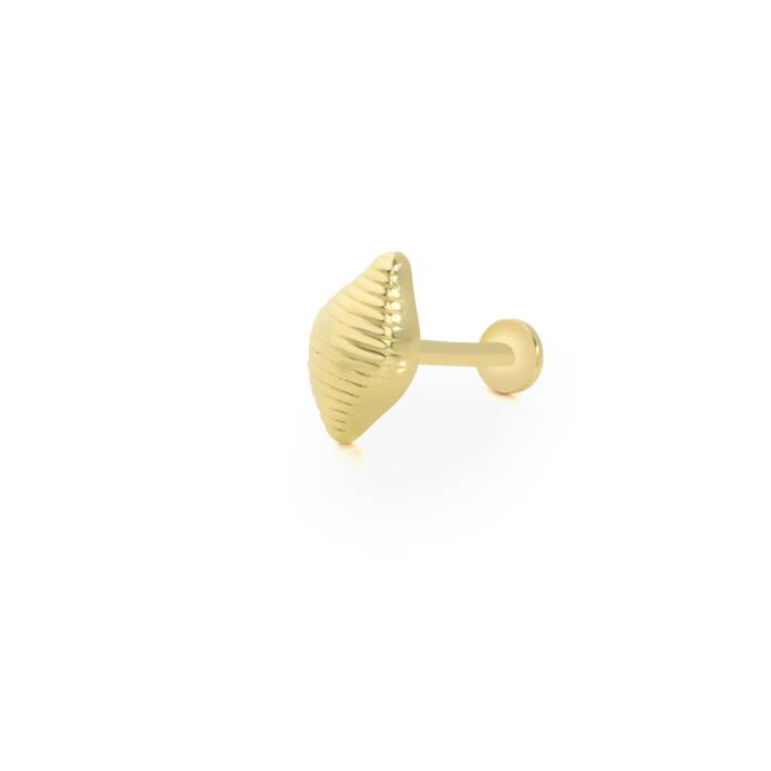 İstiridye Tragus Piercing - 1