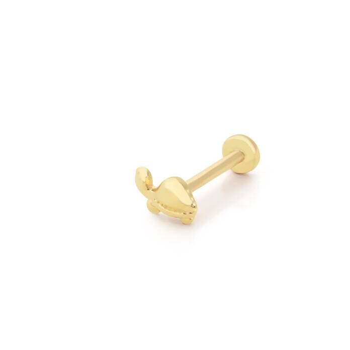 Kaplumbağa Tragus Piercing - 1