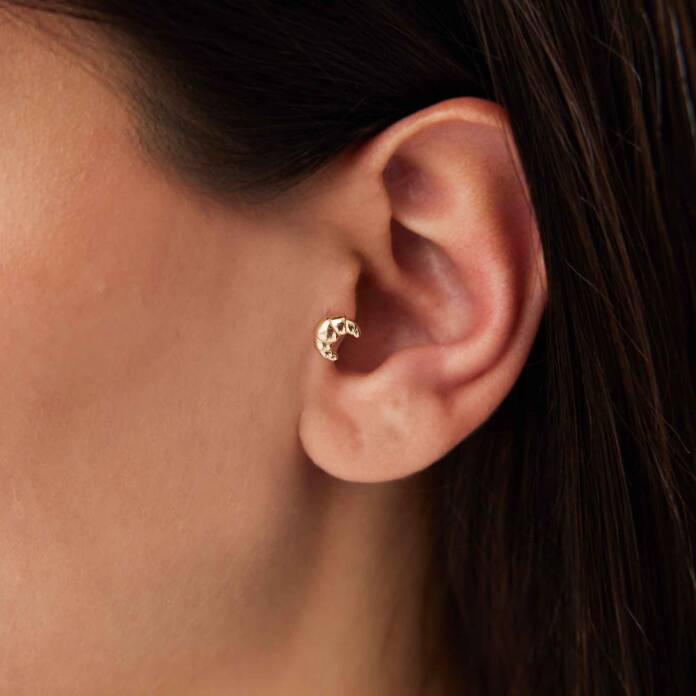 Kruvasan Model Tragus Piercing - 2