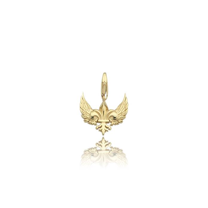 Kuş Kanadı Charm - 1
