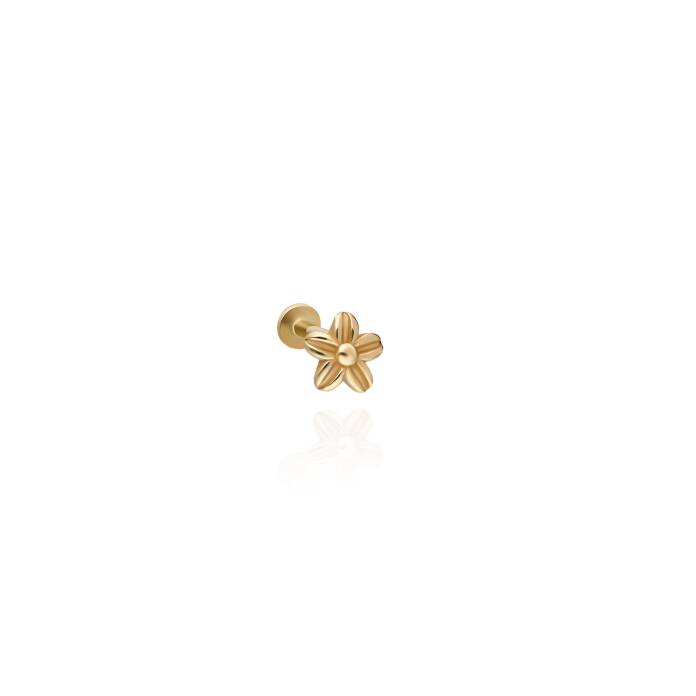 Minimal Çiçek Model Tragus Piercing - 1