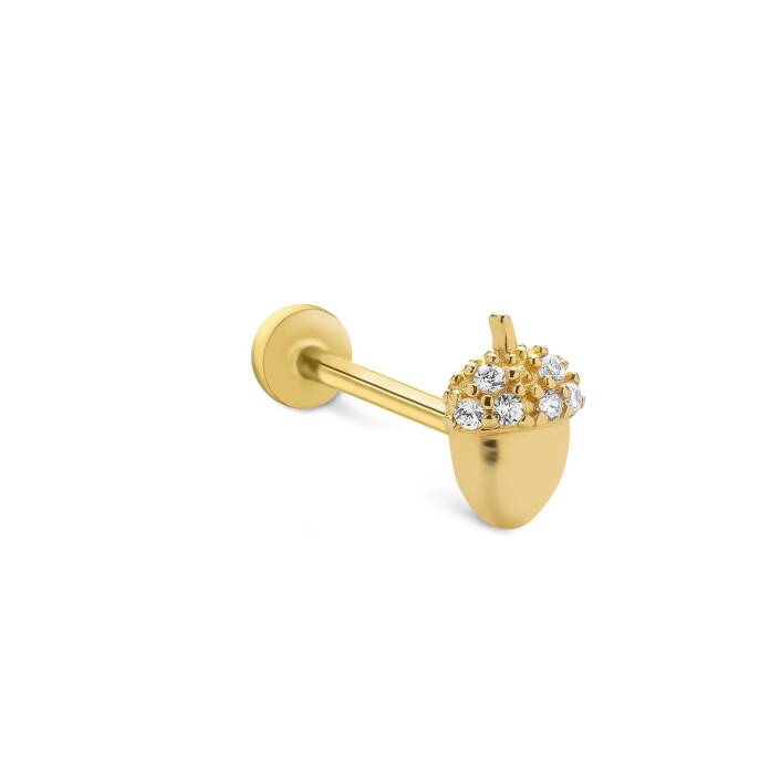 Palamut Tragus - 1