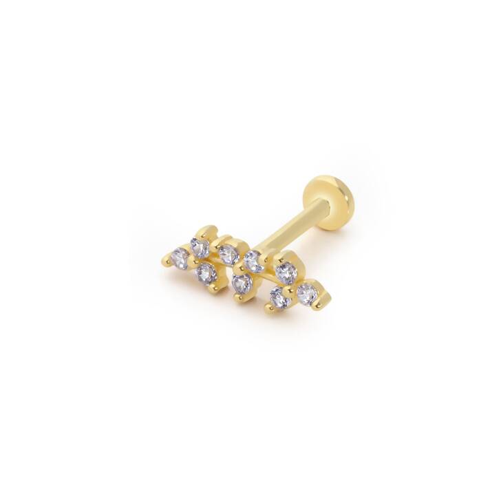 Shining Leaf Tragus Piercing - 1
