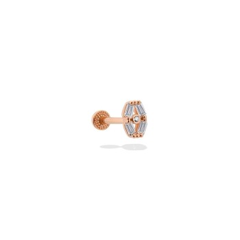 Terrier Tragus Piercing - 1