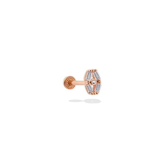 Terrier Tragus Piercing - 1