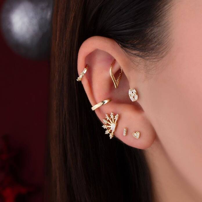 Terrier Tragus Piercing - 2