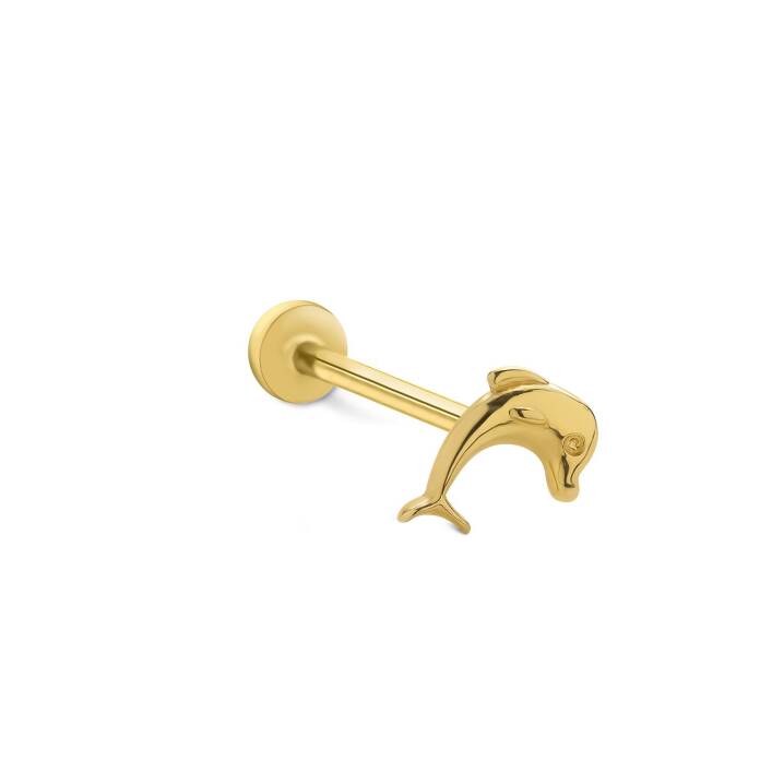 Yunus Tragus Piercing - 1